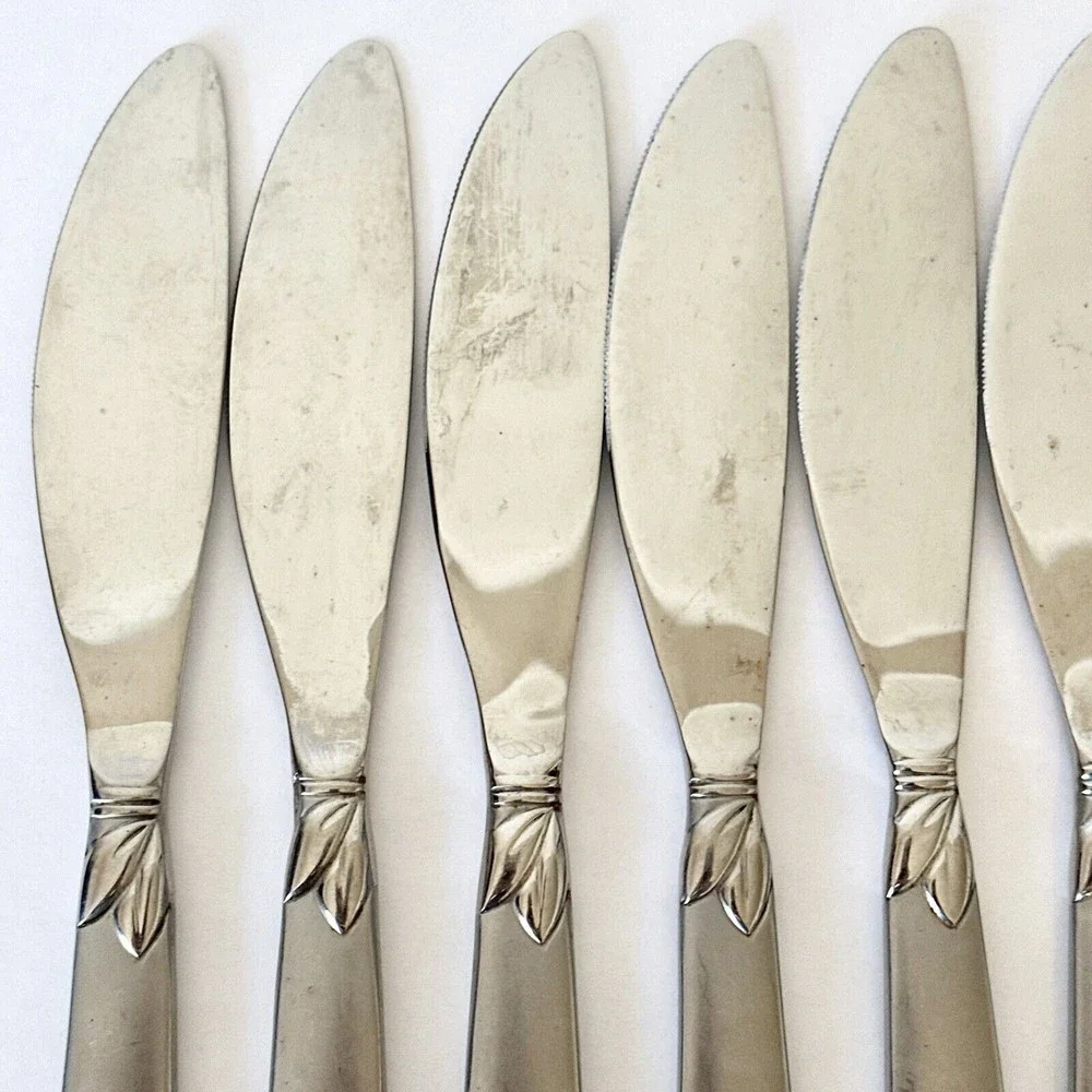 8 Pc‎ Pfaltzgraff stainless 18/0 Satin Laurel Frosted handle Dinner Knives￼